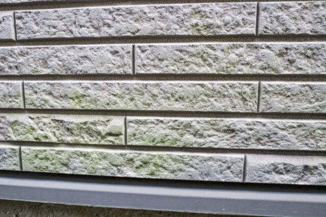 苔のついた家の外壁