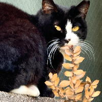 株式会社東京都