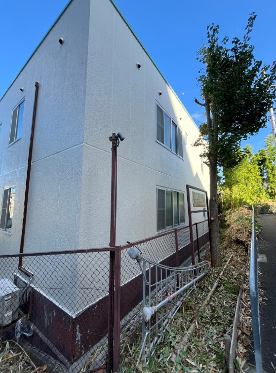 After Image